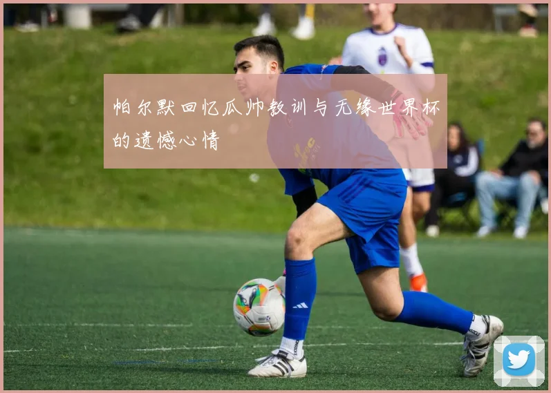 帕尔默回忆瓜帅教训与无缘世界杯的遗憾心情